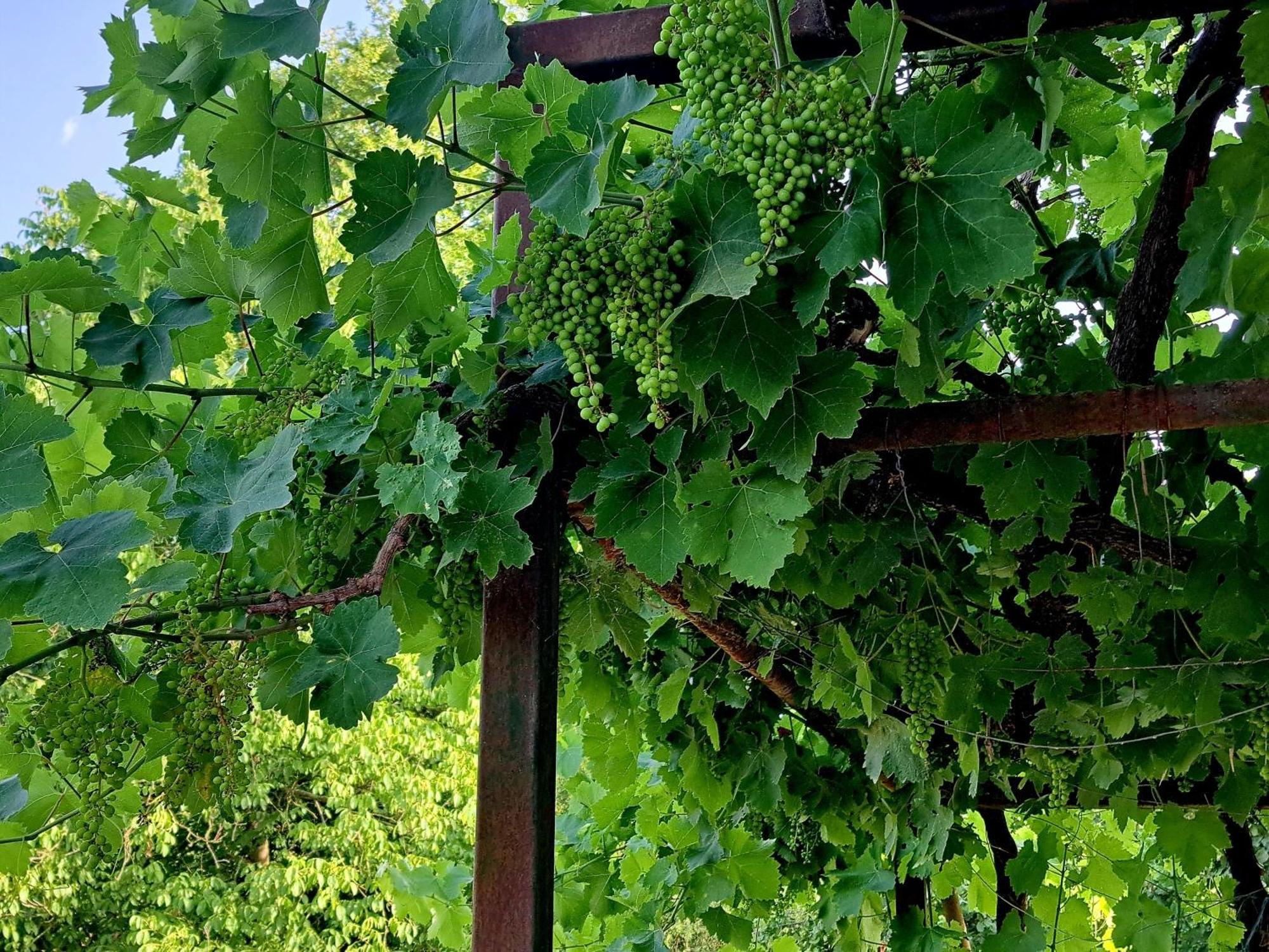 Villaggio Traditional Living Ioannina Ngoại thất bức ảnh